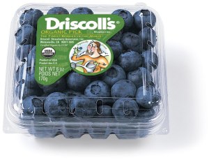 driscoll-blueberries1